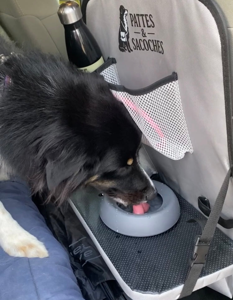 Gamelle anti-débordement pour chien – Silicone alimentaire – 500 ml – Ø 16 cm