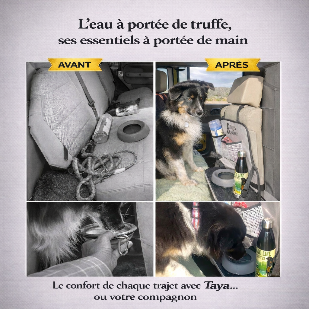 Organisateur Voiture Chien & Gamelle 500 ml - L'eau à portée de truffe - Pack Avantage