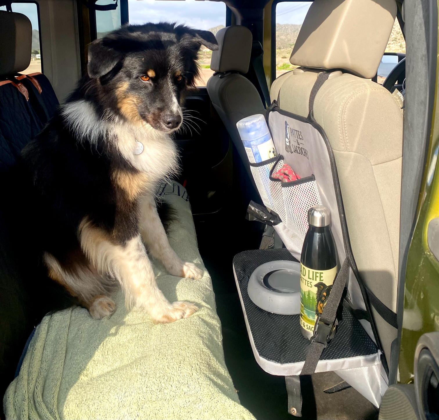 Organisateur Voiture Chien & Gamelle 500 ml - L'eau à portée de truffe - Pack Avantage