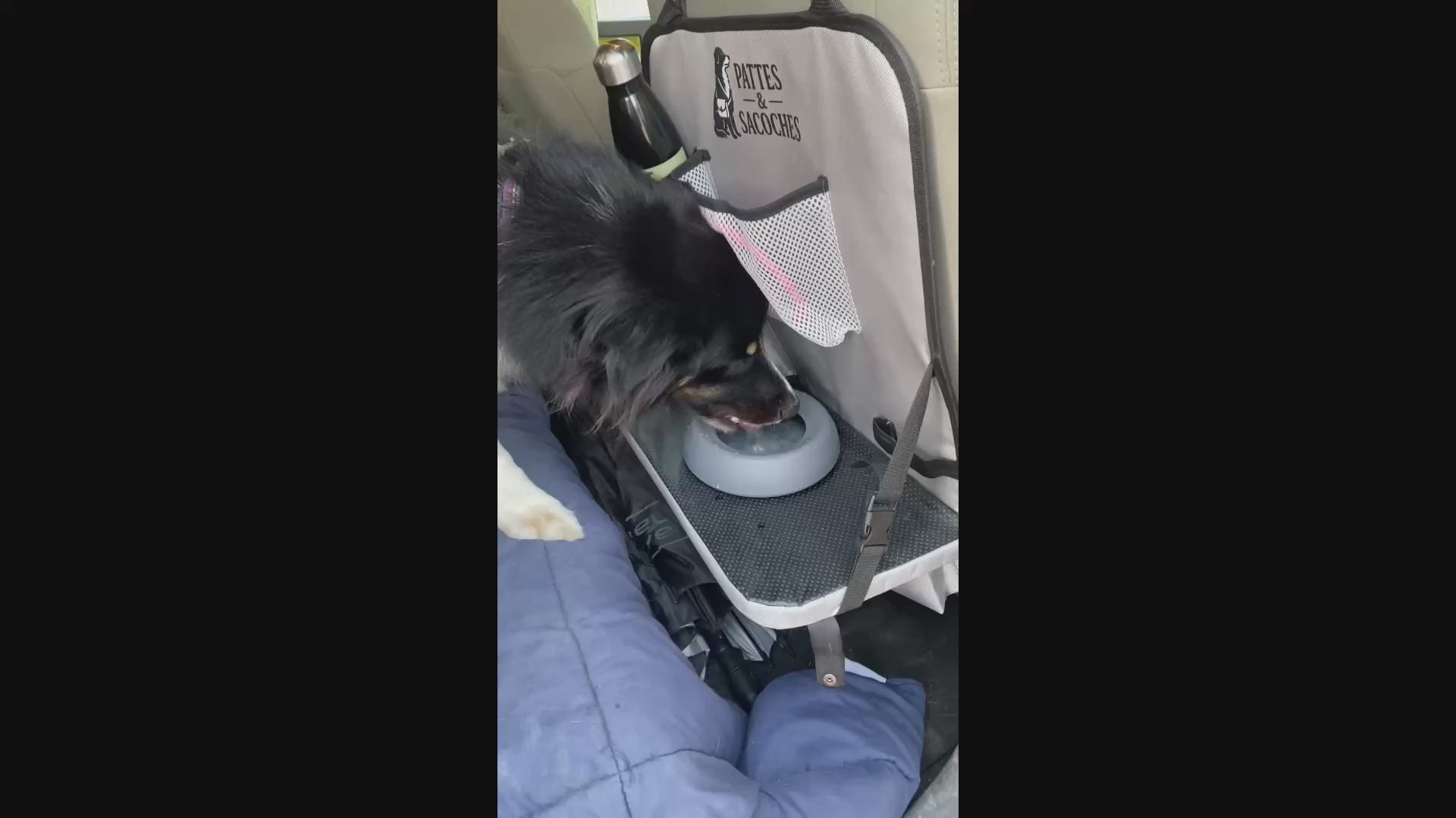 Gamelle anti-débordement pour chien – Silicone alimentaire – 500 ml – Ø 16 cm